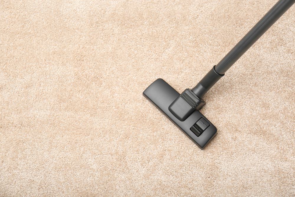Tips for Fall Carpet Care