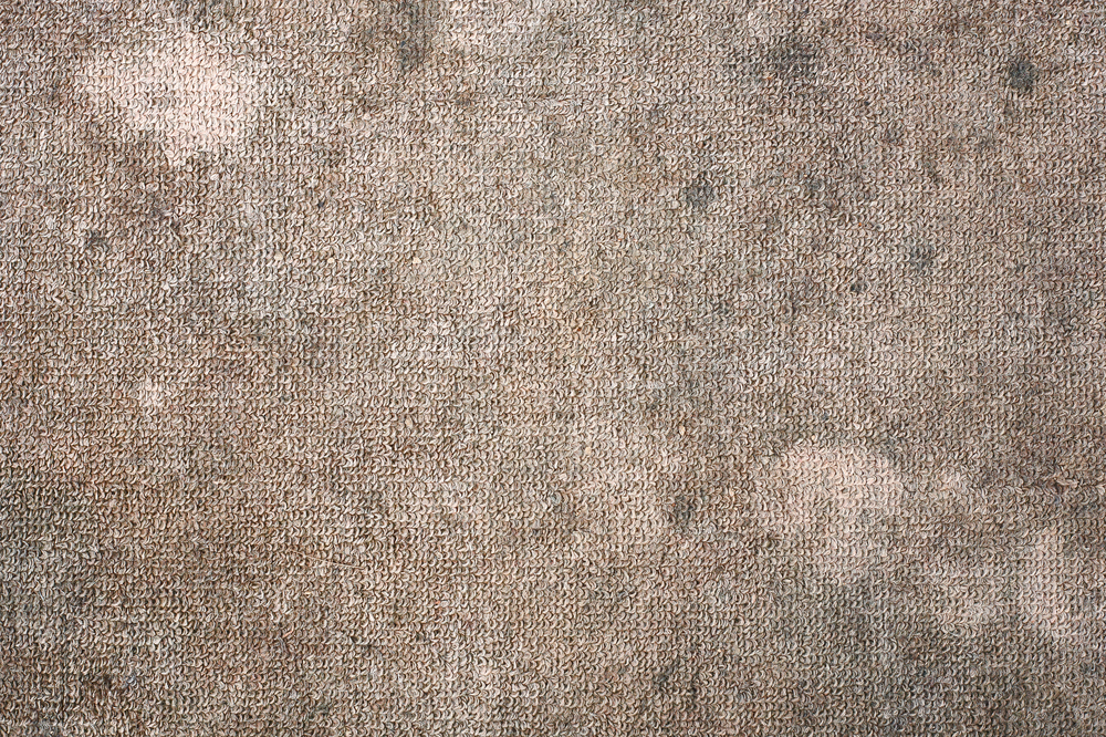 Spotting the Signs of Carpet Rot: What to Look For