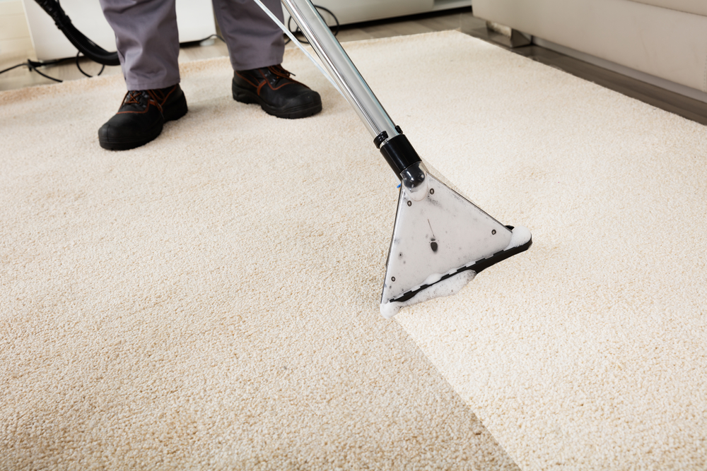 Ways To Keep Your Carpets Looking Fresh All Year Round